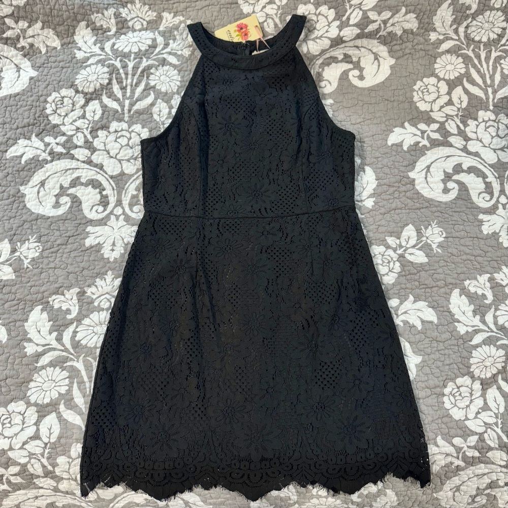 Entro Black Lace Mini Dress